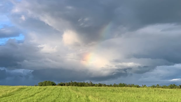 A surprise rainbow: Enjoy these photos from around New Brunswick