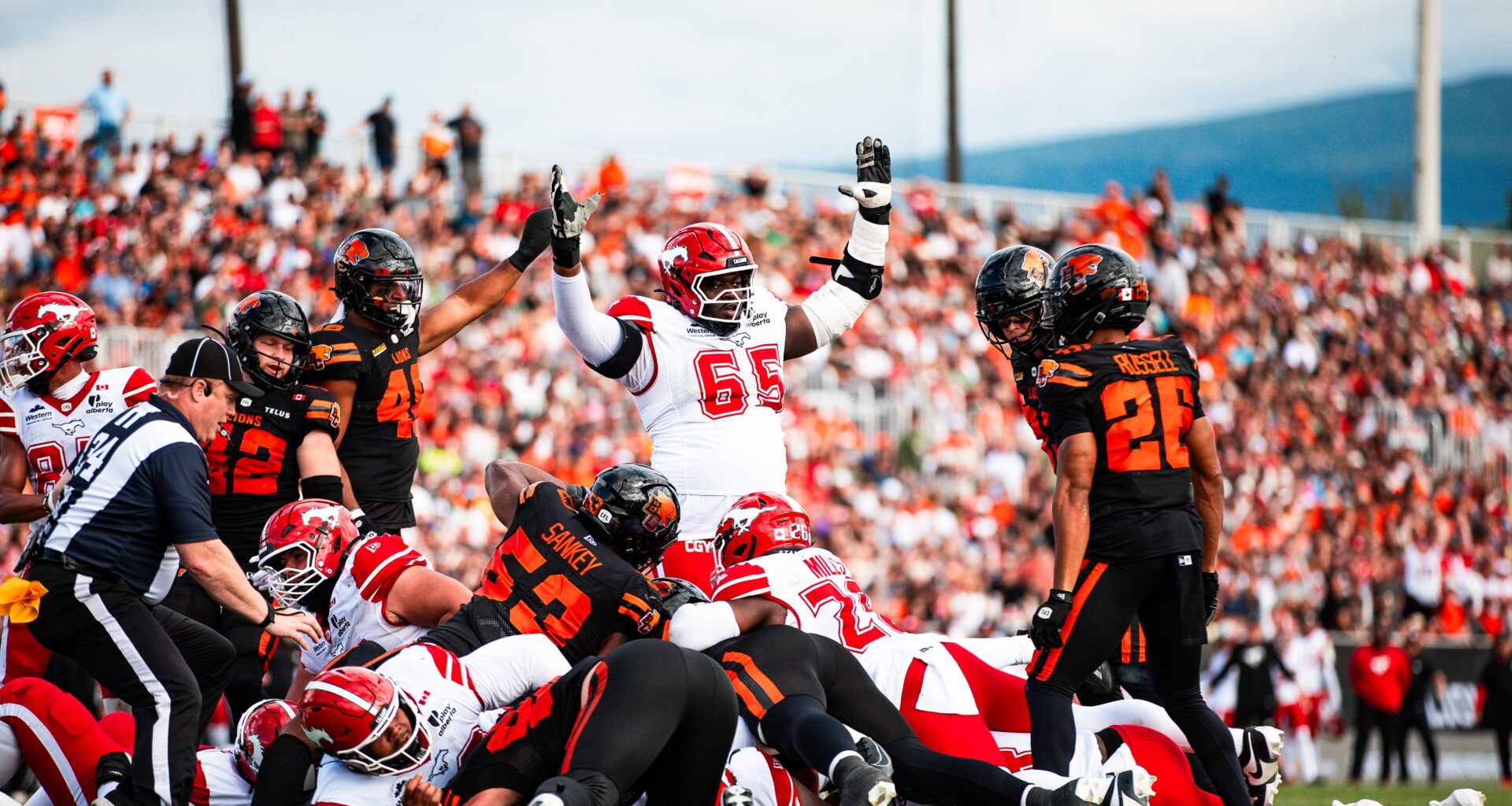 CFL News Hub
