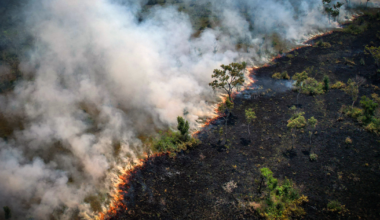 Our Climate Models Are Missing Something Crucial – Mother Jones