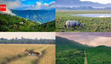 7 Most beautiful grasslands to visit in India