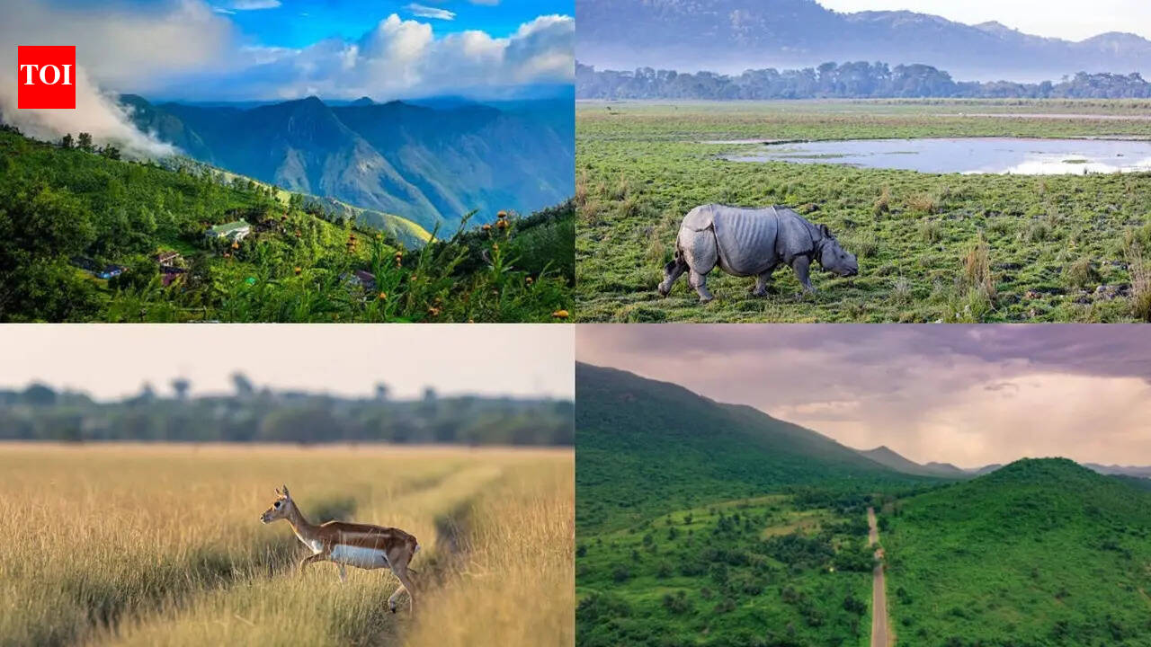 7 Most beautiful grasslands to visit in India