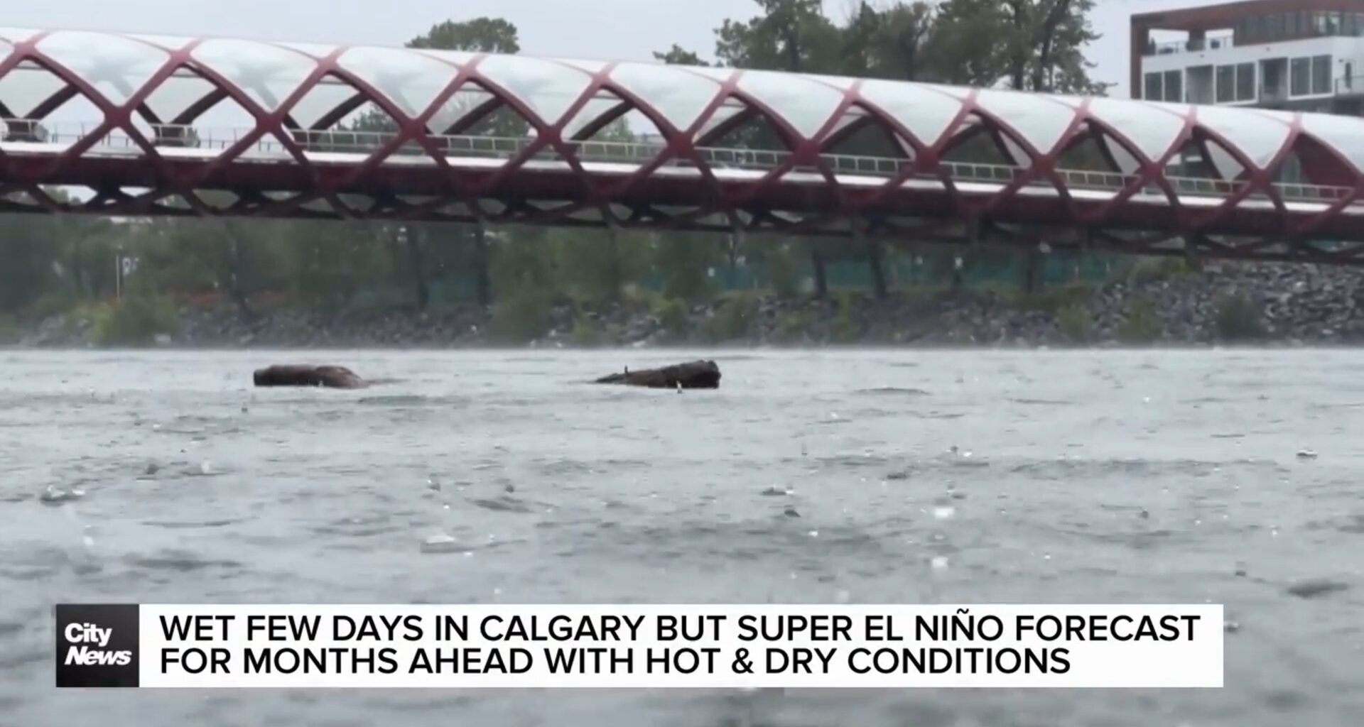 Wet few days in Calgary but super El Niño forecast for months ahead