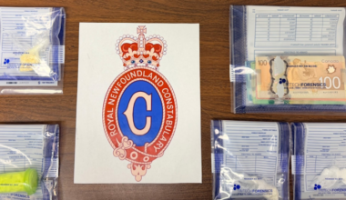 18-Year-Old Arrested After Police Seize Drugs and Cash at Downtown Park