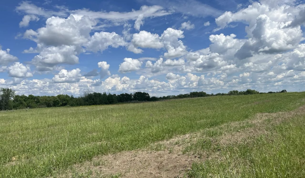 A flat, grassy field with a line of trees in the distance under a blue sky.