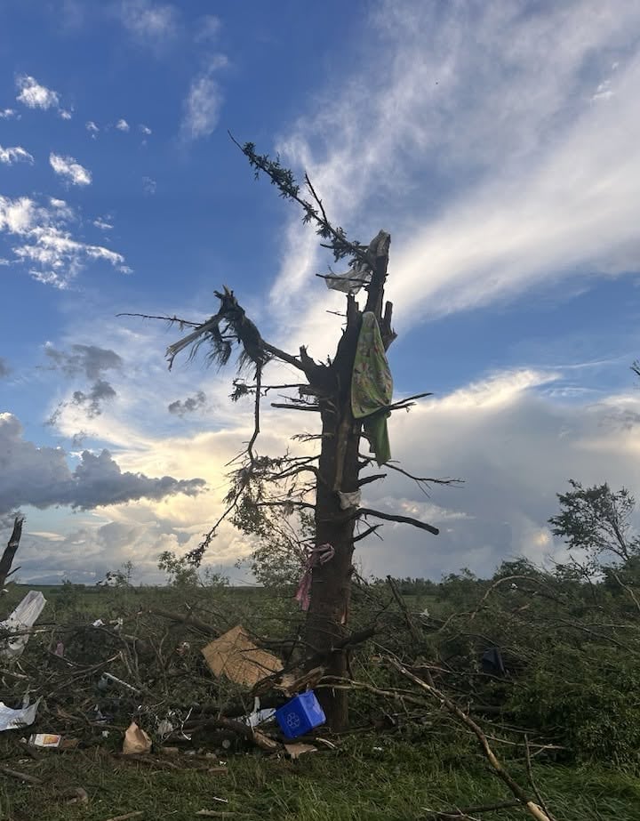 A tree is stripped of its branches and has clothing hanging on it after a tornado passed through.