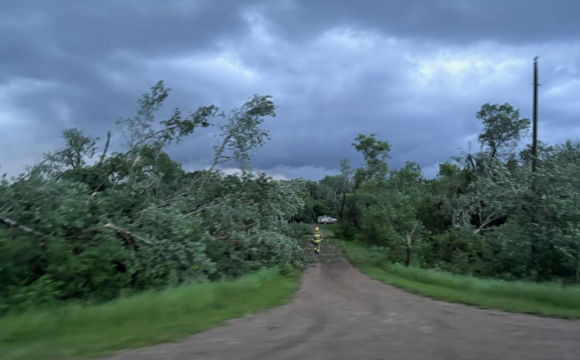 A dark, stormy sky above damaged trees, looking down a roadway.