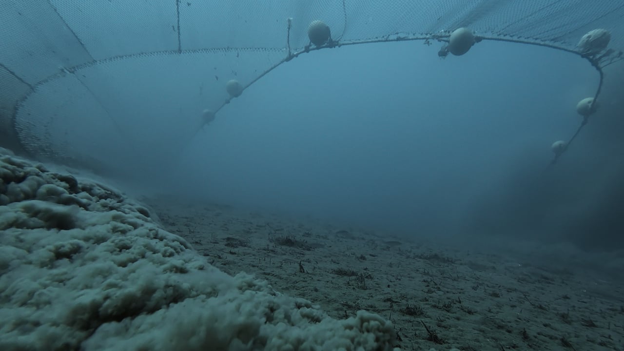 Dust and sediment kick up as a bottom trawler scours the ocean floor. 