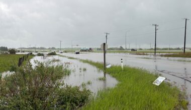 Edmonton records its rainiest June ever following latest weekend downpour: Environment Canada