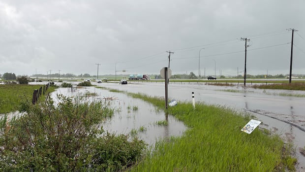 Edmonton records its rainiest June ever following latest weekend downpour: Environment Canada