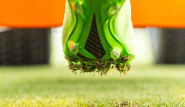 What goes into making World Cup-quality turf, and the Canadian behind it