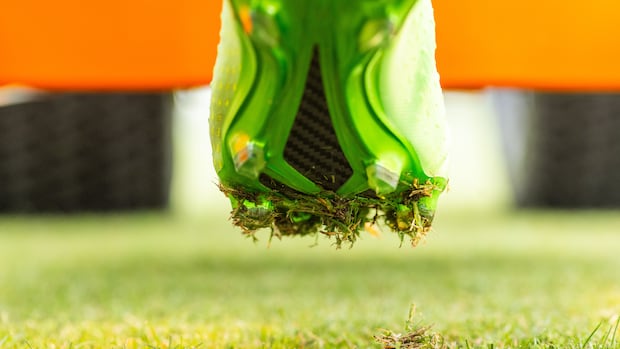 What goes into making World Cup-quality turf, and the Canadian behind it