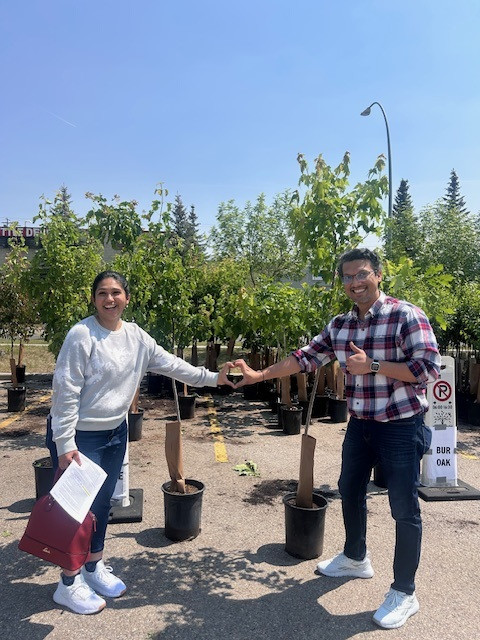 Branching Out Tree Program Finds 10,000 Trees New Homes