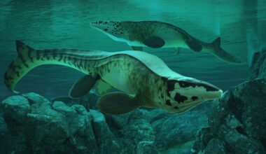 "It terrorised the seas 90 to 80 million years ago just a few million years before its equally ferocious two-legged namesake did the same thing on land..."