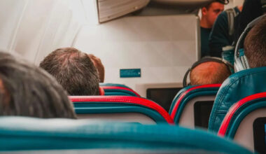 MMA Fighter Prevents Mid-Air Disaster By Restraining A Crazed Passenger