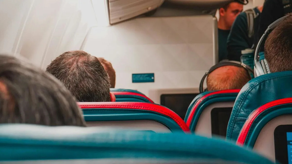 MMA Fighter Prevents Mid-Air Disaster By Restraining A Crazed Passenger