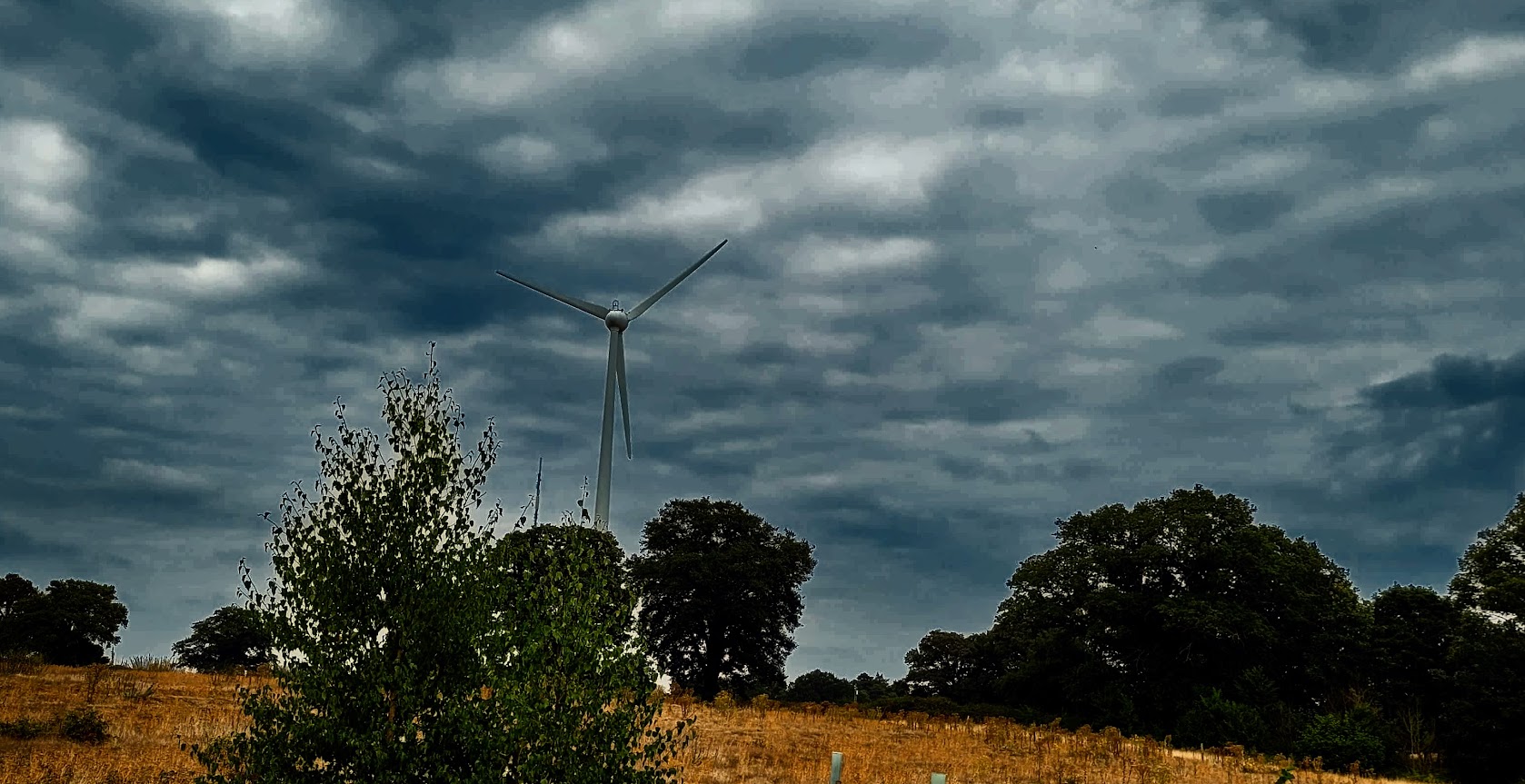Cleantech is powering Calgary’s next phase of growth