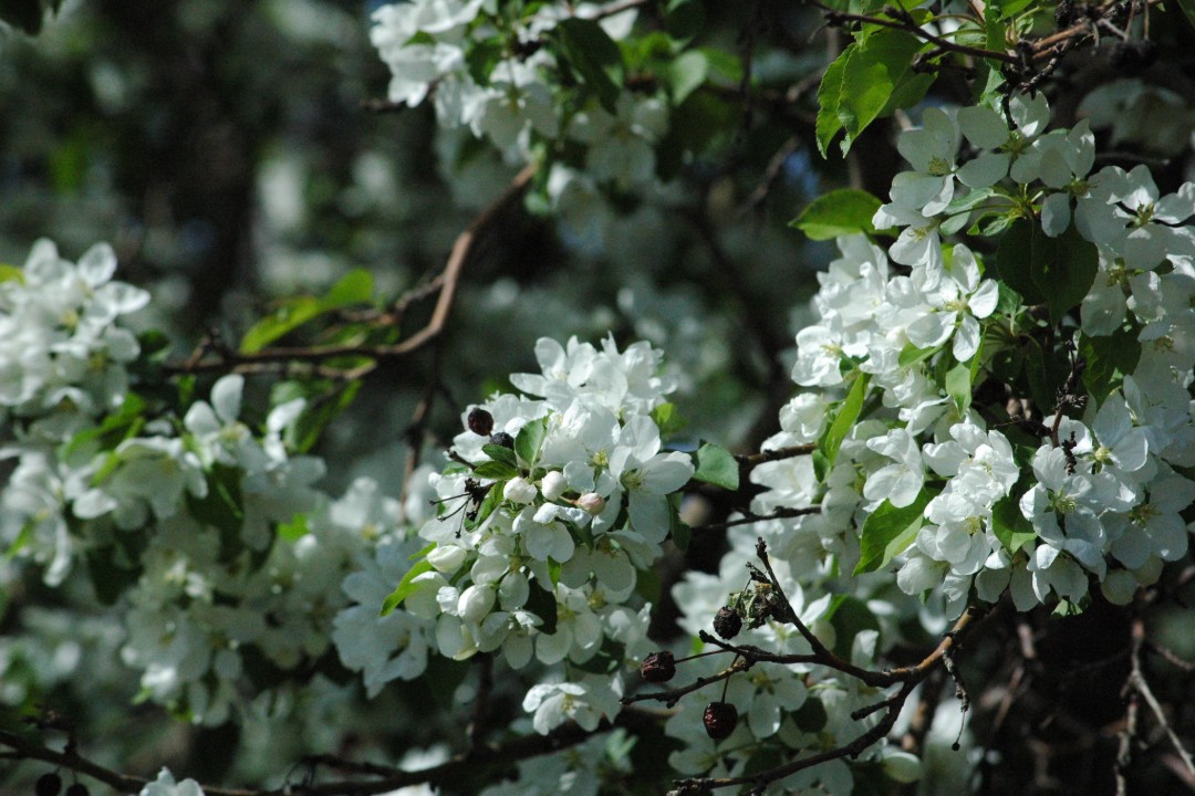 Happenings: June 23, 2026