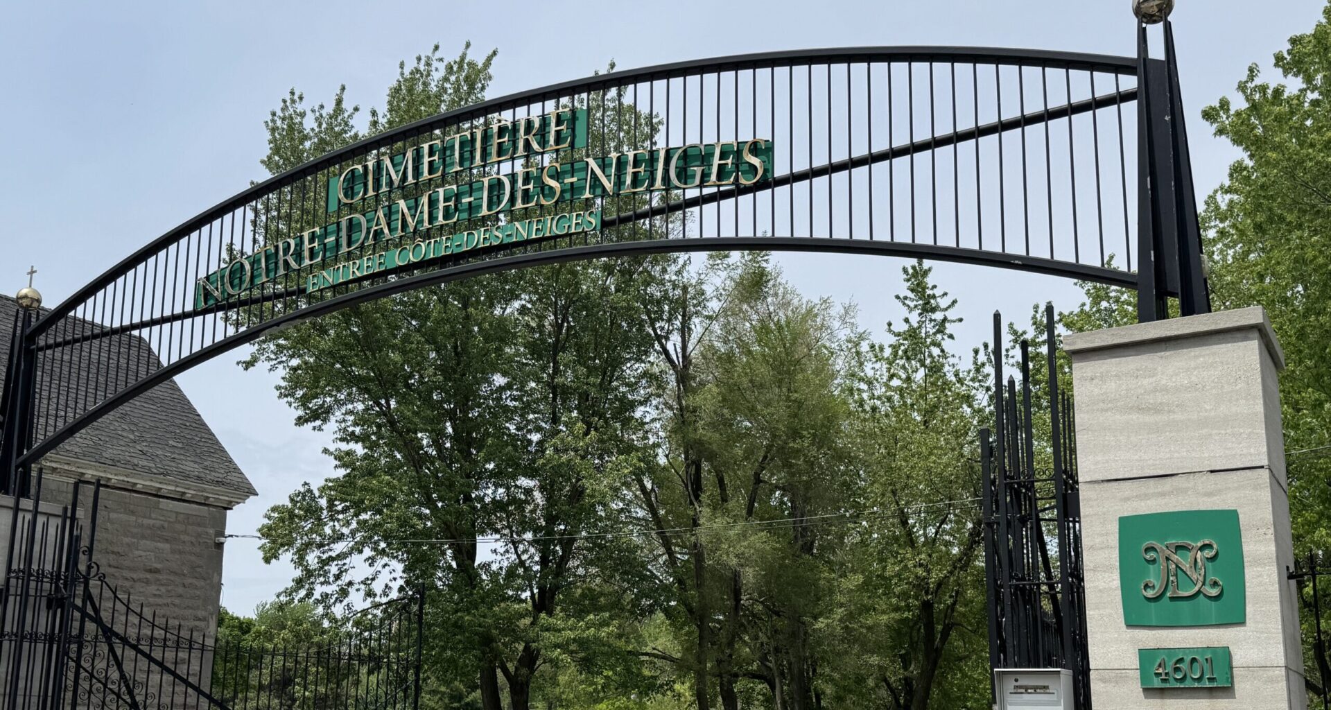 Montreal's first immersive light show 'Ancestra Lumina' coming to Notre-Dame-des-Neiges Cemetery this fall