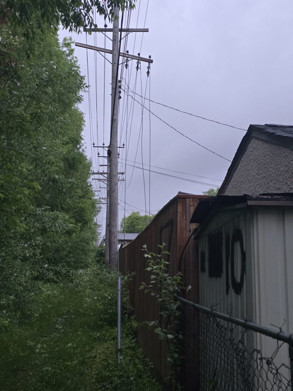 Downed power lines in Windsor Park cut power to around 330 customers on Friday morning.