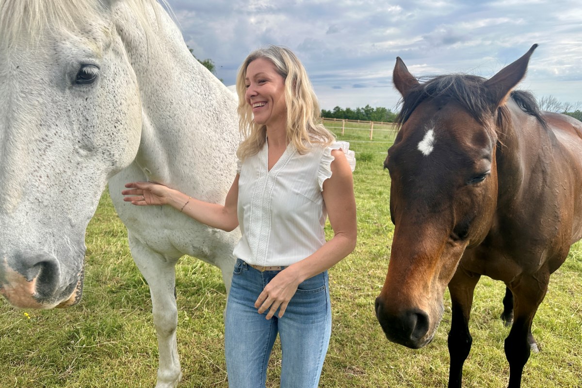 Horses work with psychotherapists to help people heal from trauma