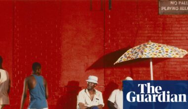Sizzle reels: nine films to watch in a heatwave | Movies
