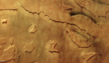 dust devils on Mars: Looking down at an orangish-brown landscape with ridges, small craters and tiny white nubs.
