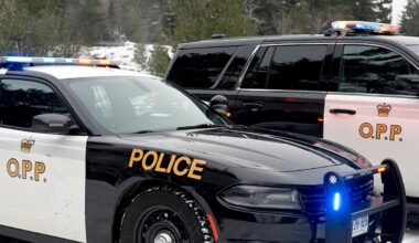 Brampton driver put transport truck in the ditch: police