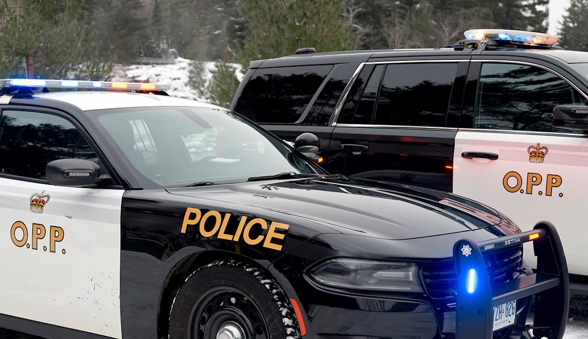 Brampton driver put transport truck in the ditch: police