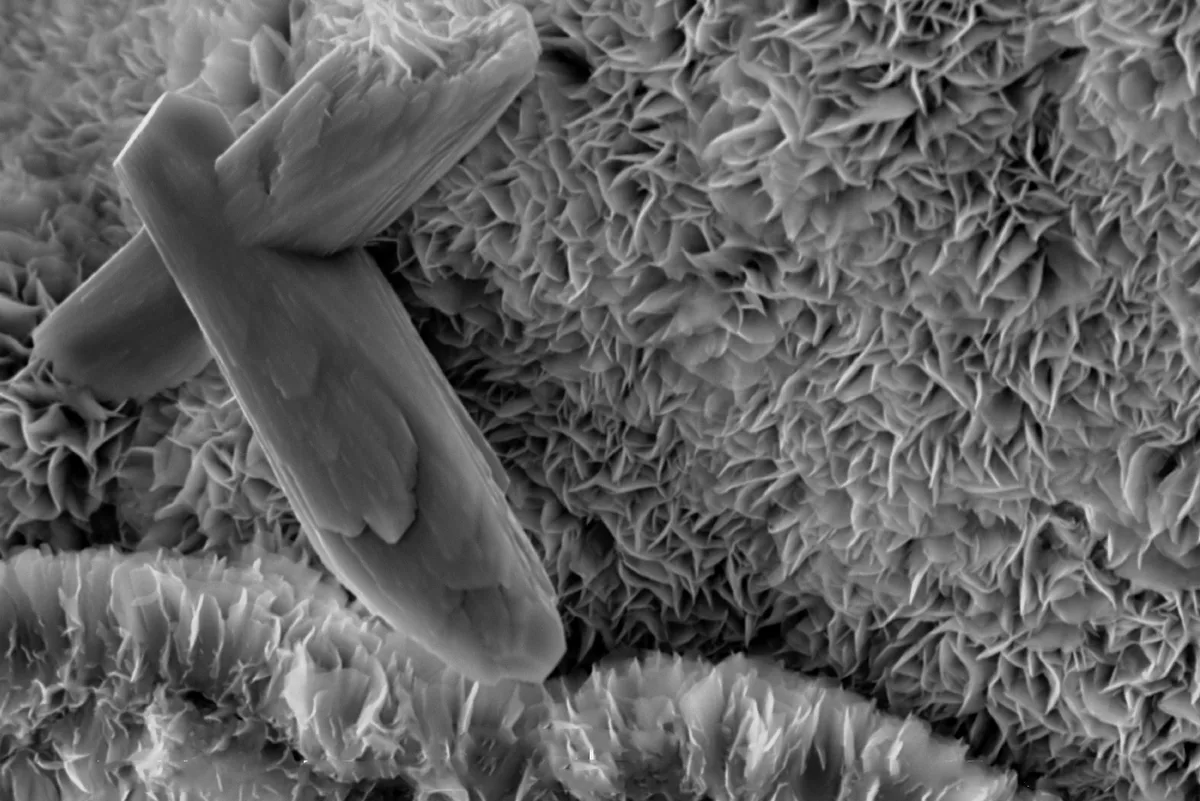 A microscopic view of a terrestrial smectite clay. Credit: Anthony Priestas/Boston University