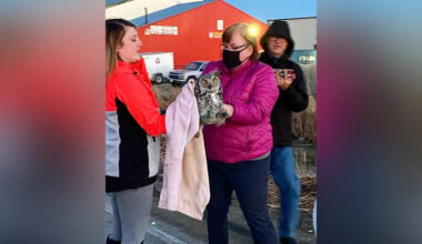 Winnipeg-area wildlife rescue to close after nearly 2 decades rehabilitating animals