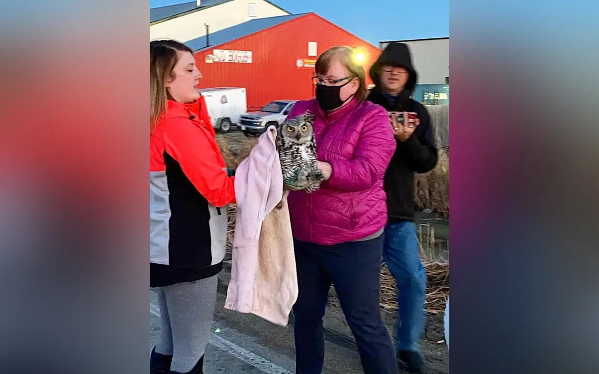 Winnipeg-area wildlife rescue to close after nearly 2 decades rehabilitating animals
