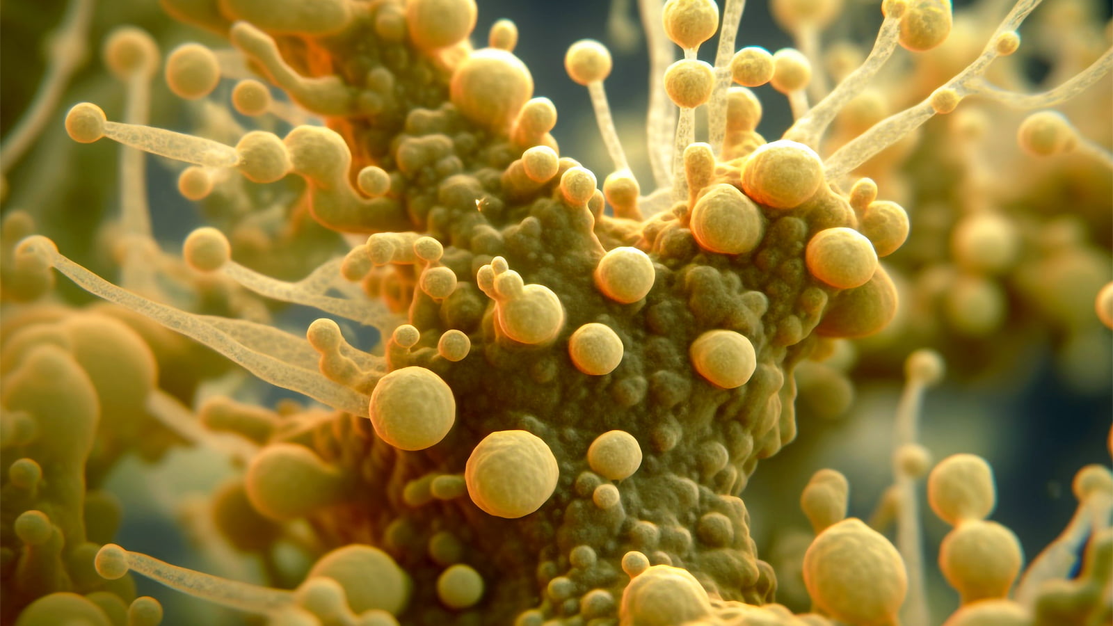 Peptide alternative to antibiotics could combat antimicrobial resistance crisis