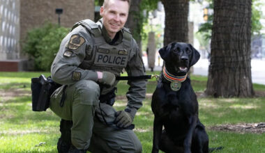 Latest batch of 34 Edmonton police grads includes two cop dogs