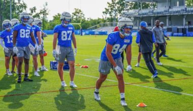 Two returning Panthers facing tough NFL training camp challenges