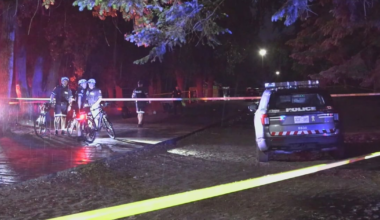 Woodbine Beach stabbing: group of suspects sought