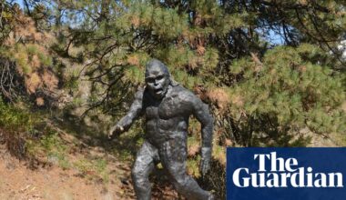 Sasquatch ‘sightings’ reignite fervour and scepticism about ape-like beast | Canada