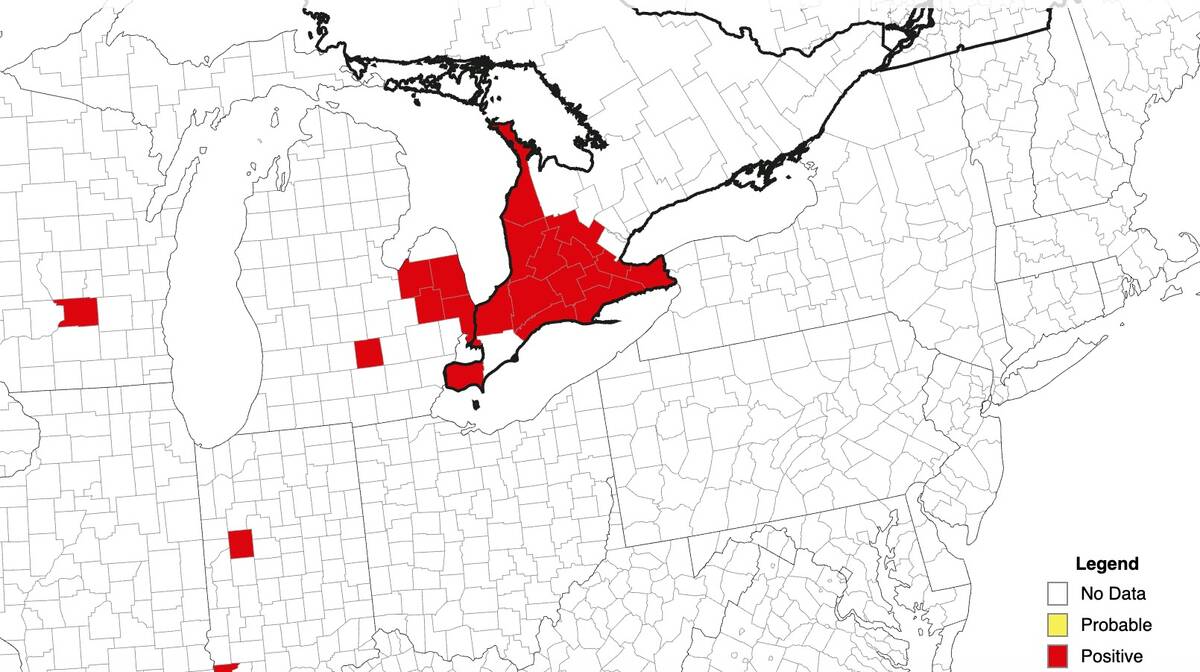 A map of southern Ontario showing counties with confirmed stripe rust shaded red. Photo: Field Crop News