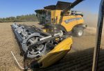 Wheat harvest, New Holland combine. Photo | Robin Booker