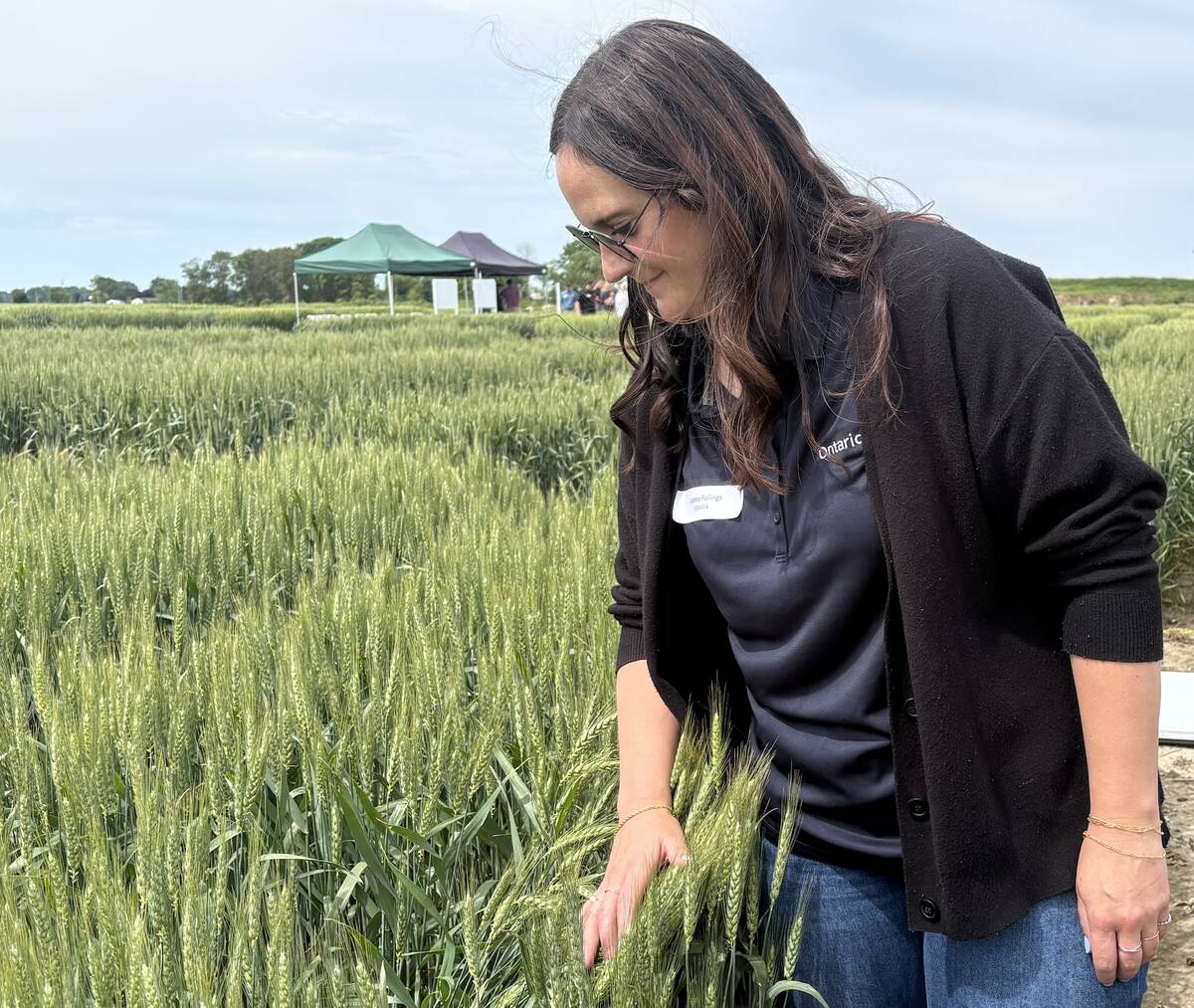 OMAFA cereals expert Joanna Follings inspects wheat plots at Wheat Wisdom Wednesday held at C&M Seeds near Palmerston, Ont. Photo: Sarah McGoldrick