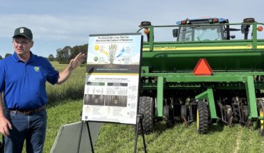 Ontario winter wheat: timely fall planting drives yields