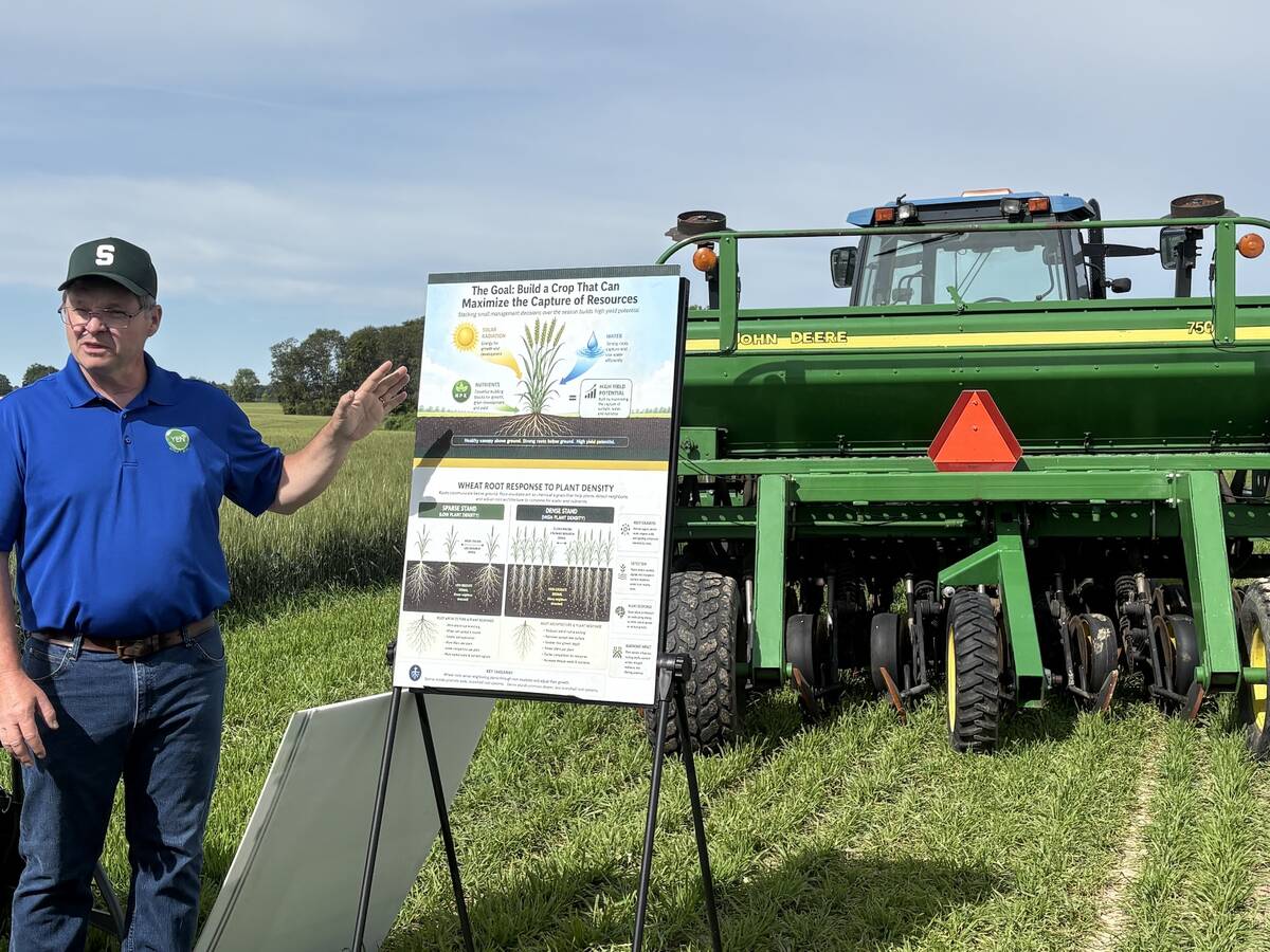 Ontario winter wheat: timely fall planting drives yields