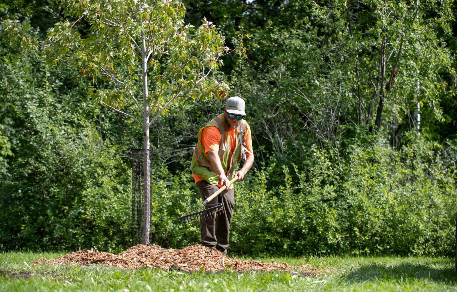 Letters, June 9 – Winnipeg Free Press