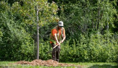 Letters, June 9 – Winnipeg Free Press