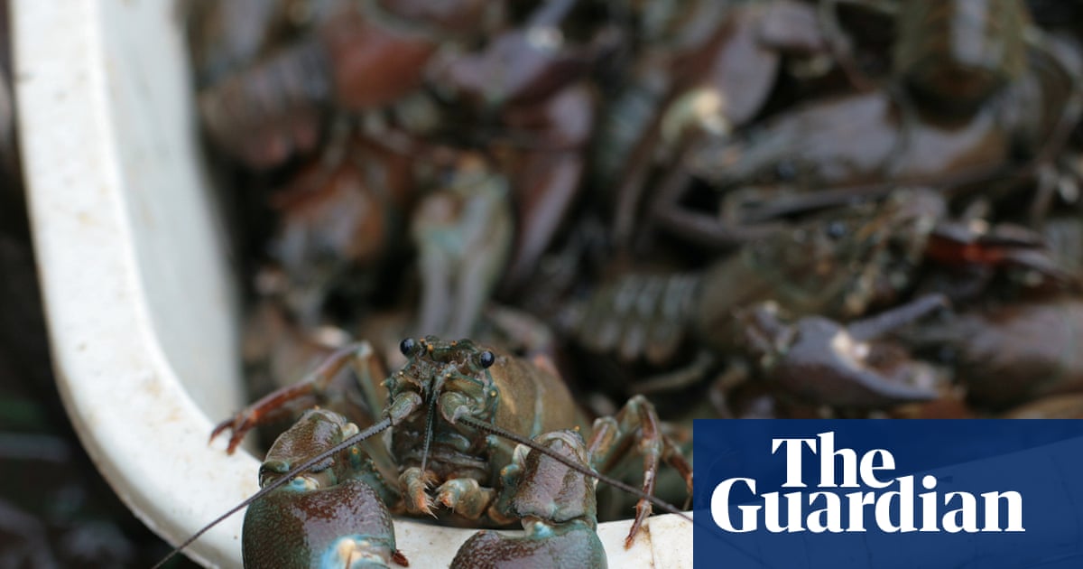 Use crayfish to keep Hampstead Heath swimmers at bay | Wildlife