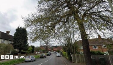 A street with cars and trees on it.
