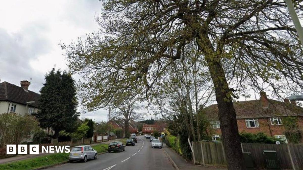 A street with cars and trees on it.