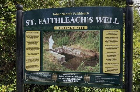 Ancient remedies still flow at local holy wells - News
