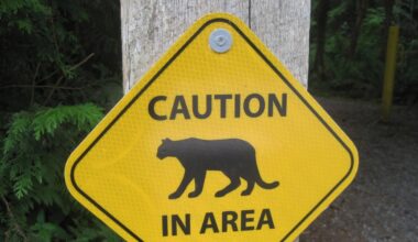 Cougar sighting prompts warning for Dawson Creek park – CJDC-TV
