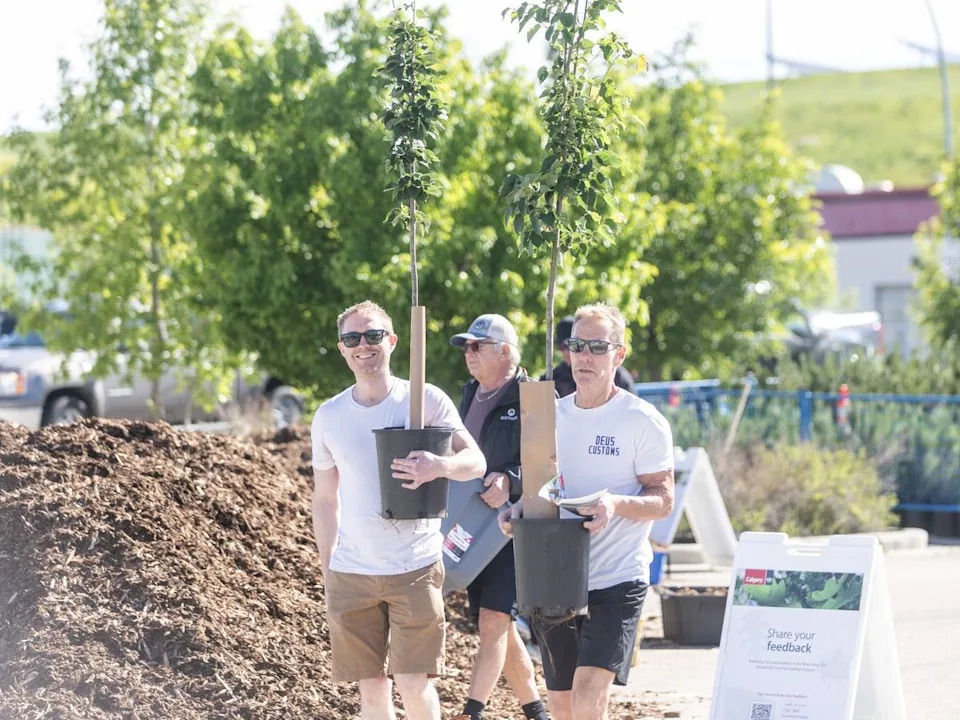 Couples take home trees at the City of Calgary’s Branching Out Tree Program giveaway on Saturday, June 13, 2026. Brent Calver/Postmedia
