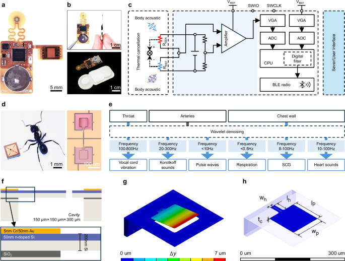 Fig. 2: Design of fPCB and cantilever-based acoustic sensor analysis.
